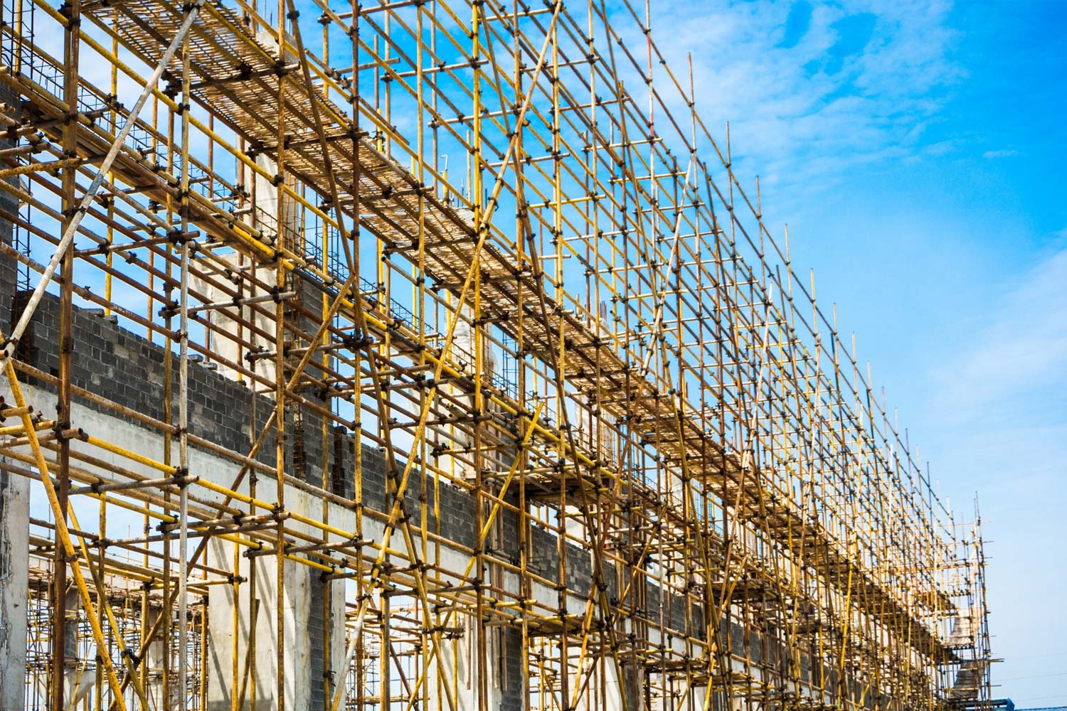 Strengthening Partnerships & Expanding Capabilities